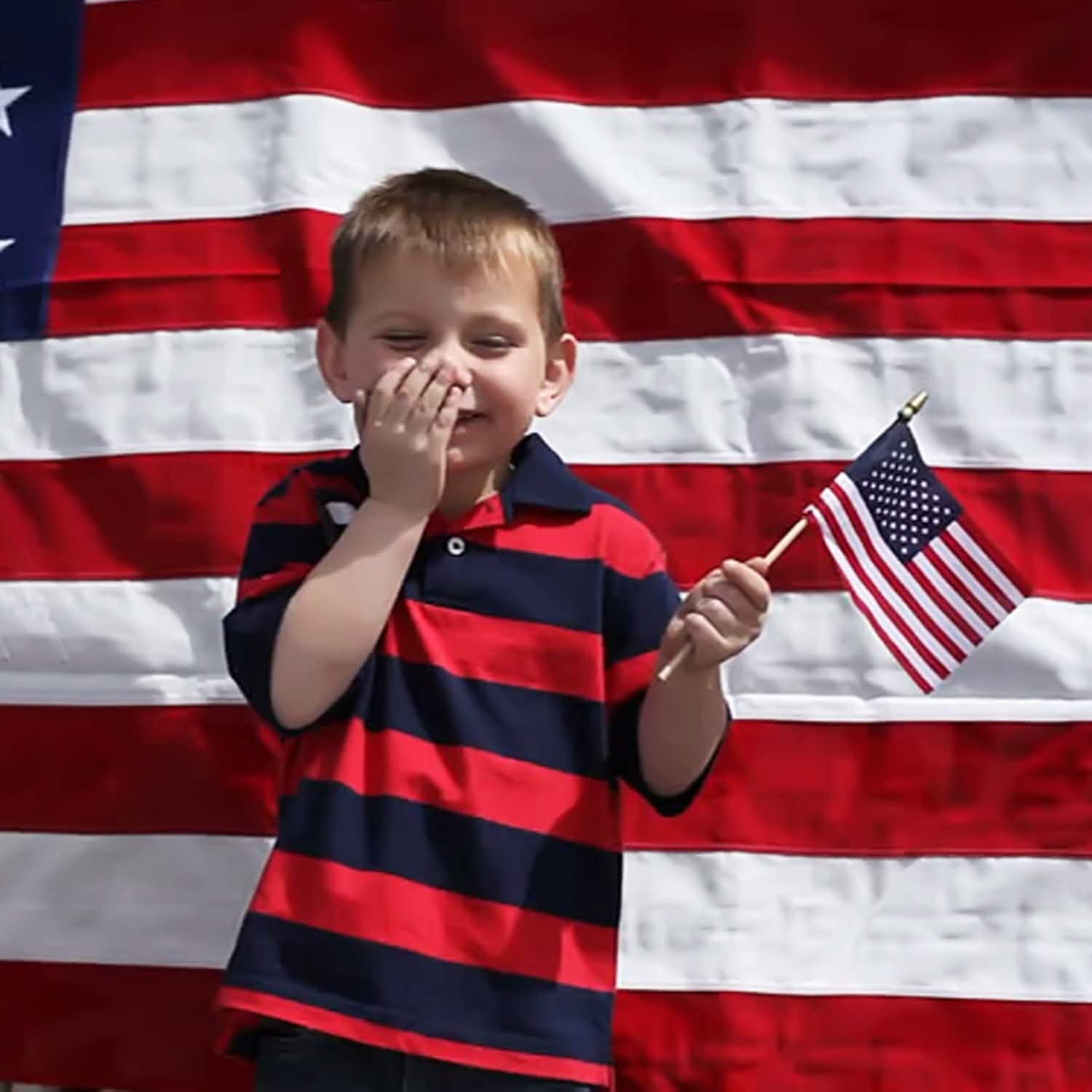 100-Pack: USA 4x6 in Wooden Stick Flag