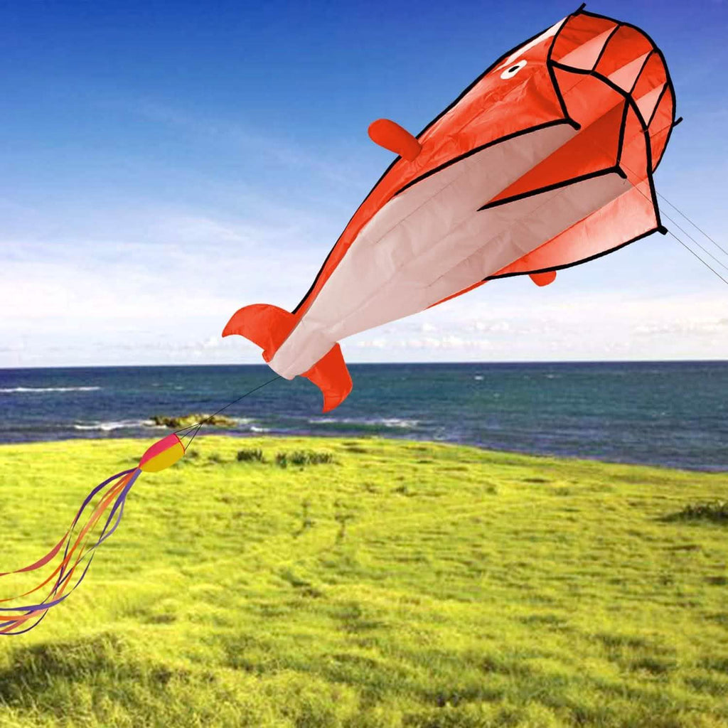 3D Kite Huge Frameless Soft Parafoil Giant Dolphin