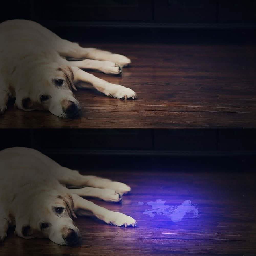 UV Flashlight Black Light